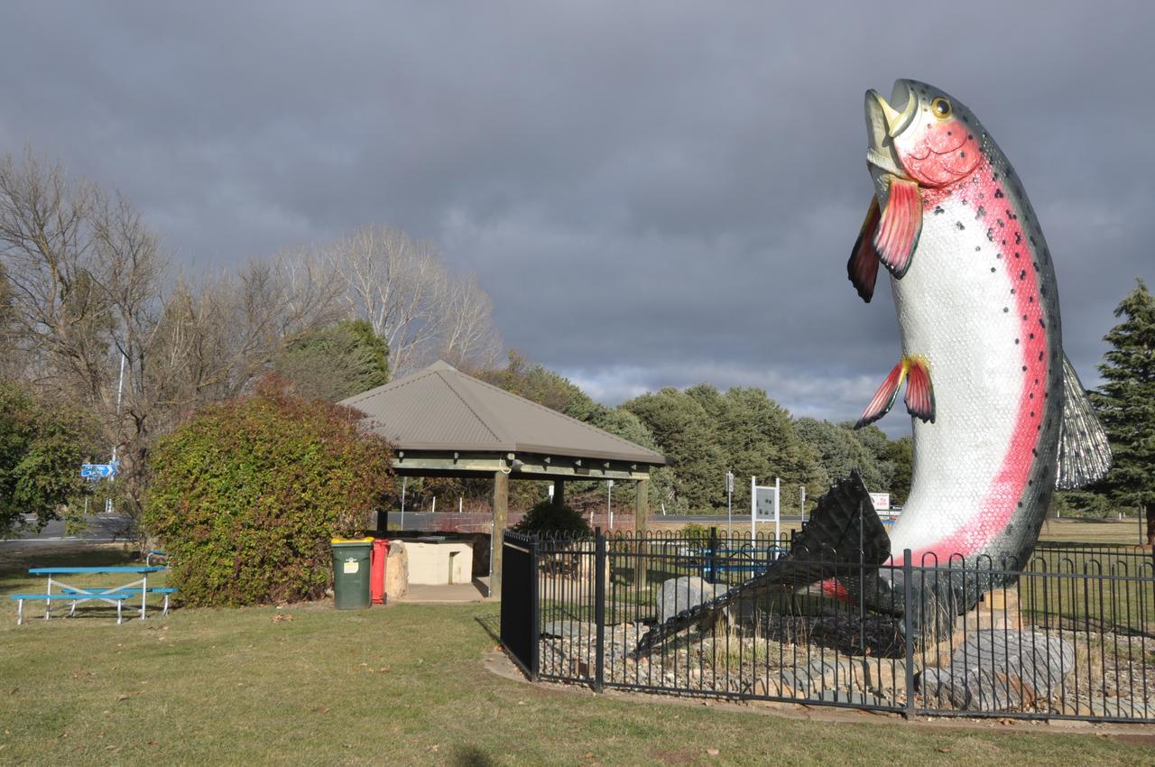 Selwyn Star Lodge Adaminaby Buitenkant foto